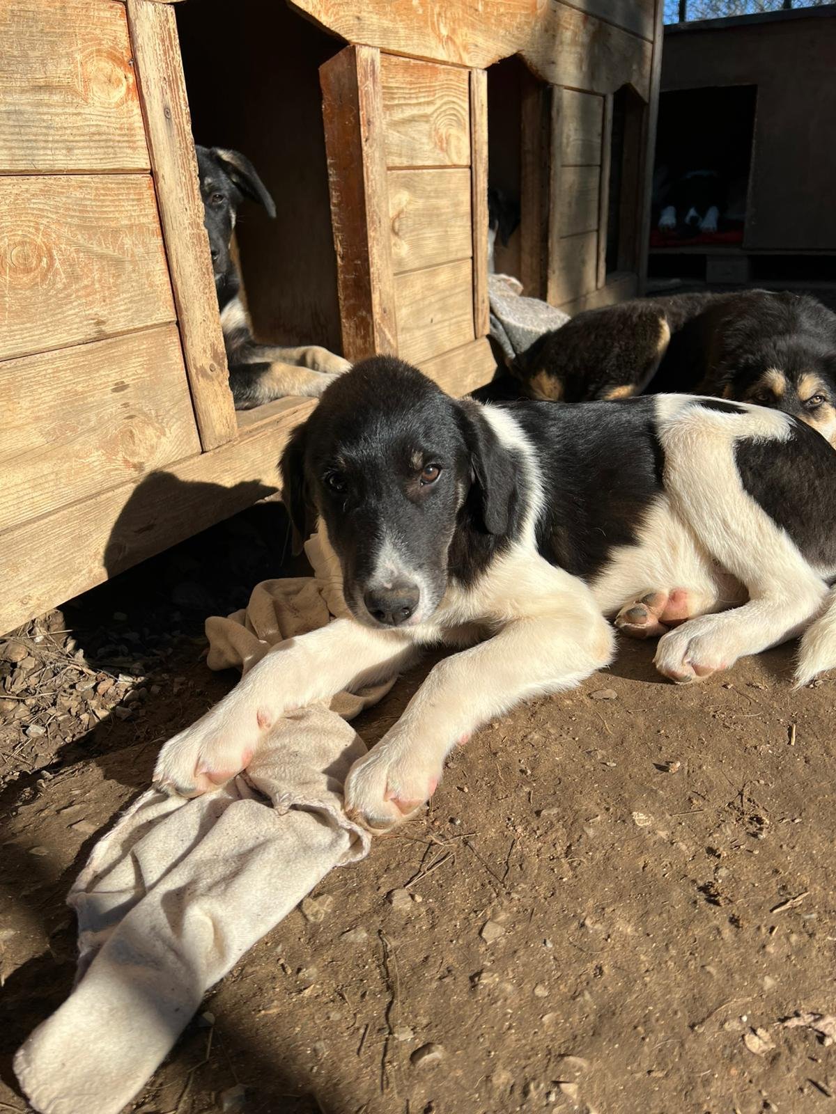 WhatsApp Bild 2025-11-30 um 12.54.38_38994673.jpg