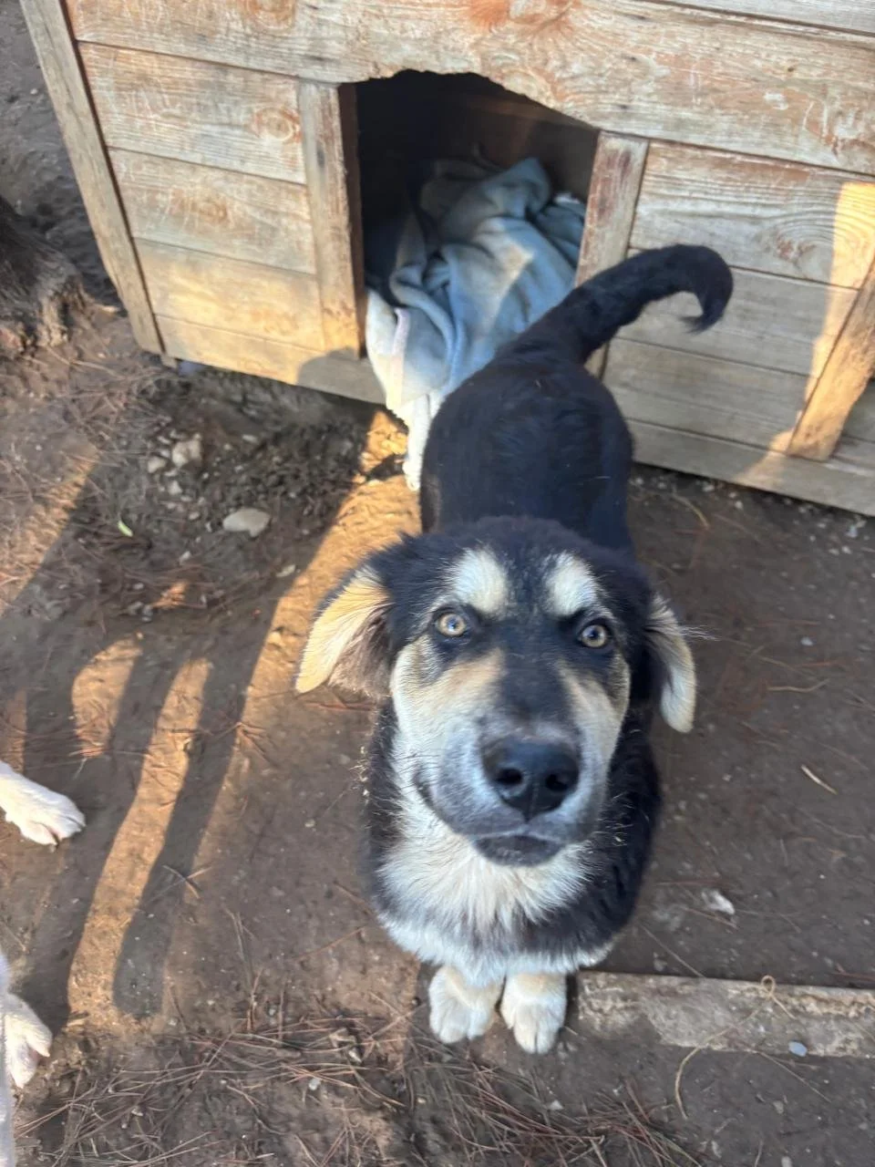 WhatsApp Bild 2025-12-09 um 13.36.55_d3d431fe.jpg