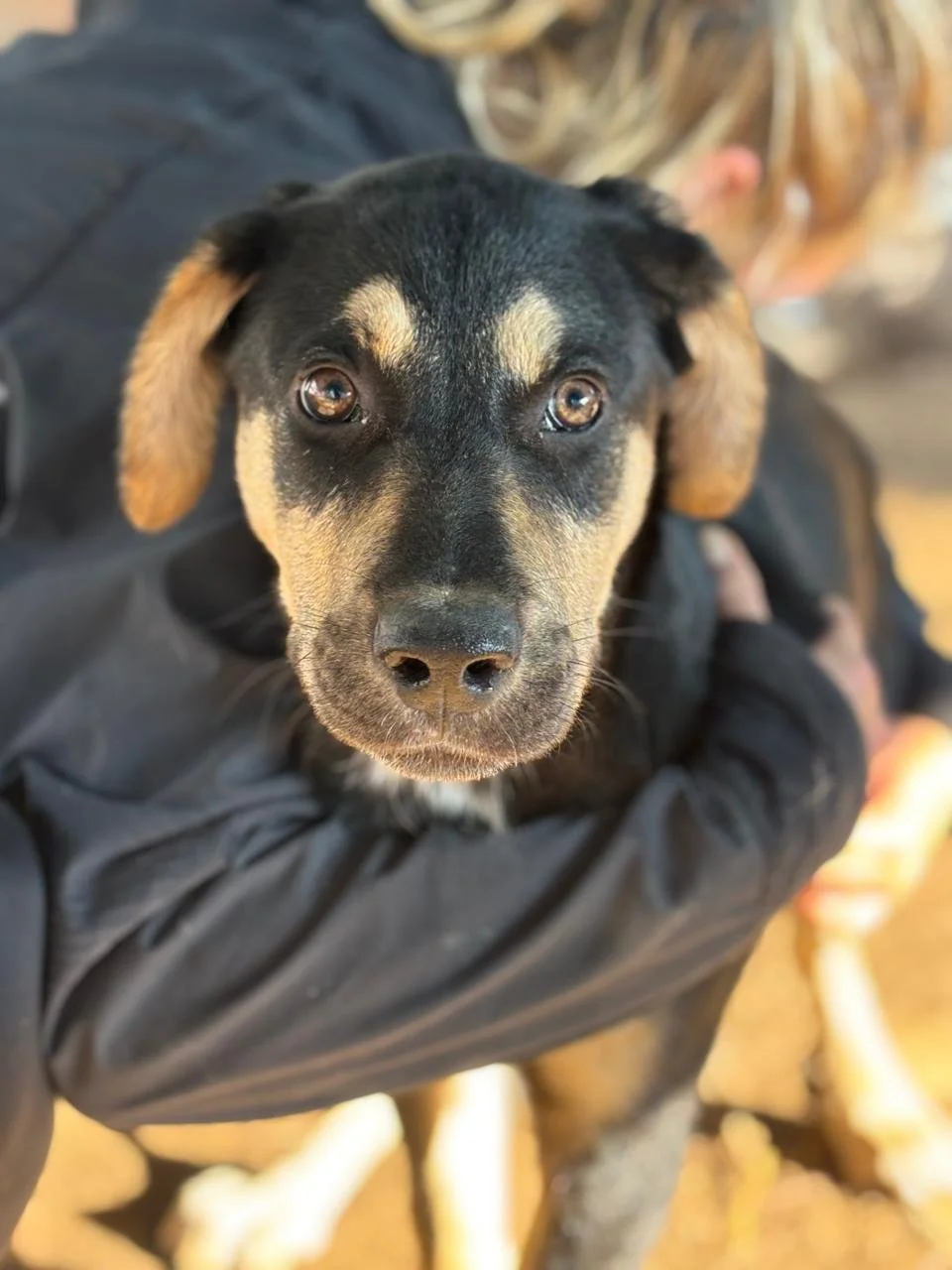 WhatsApp Bild 2025-12-12 um 17.21.08_96fc10e7.jpg