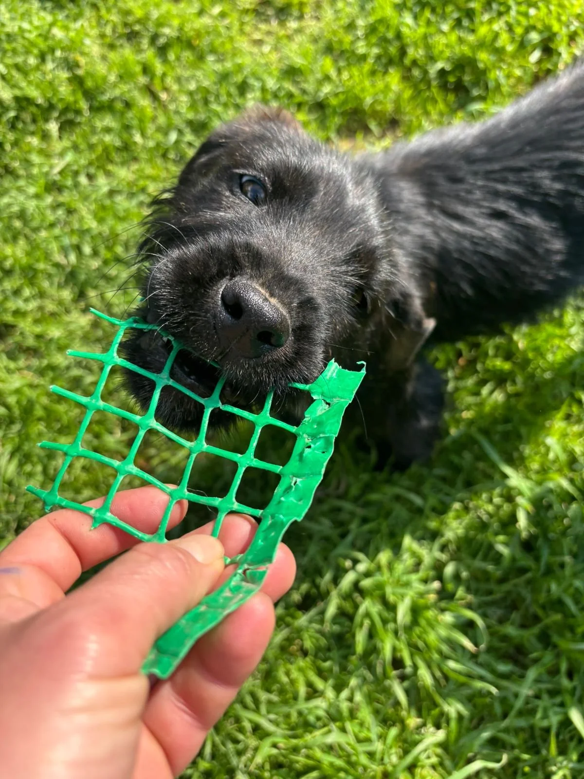 WhatsApp Image 2026-04-23 at 18.34.20.jpeg