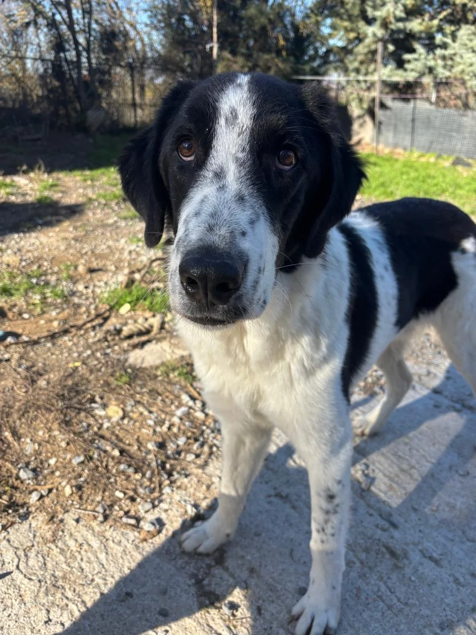 WhatsApp Image 2026-01-02 at 19.57.34.jpeg