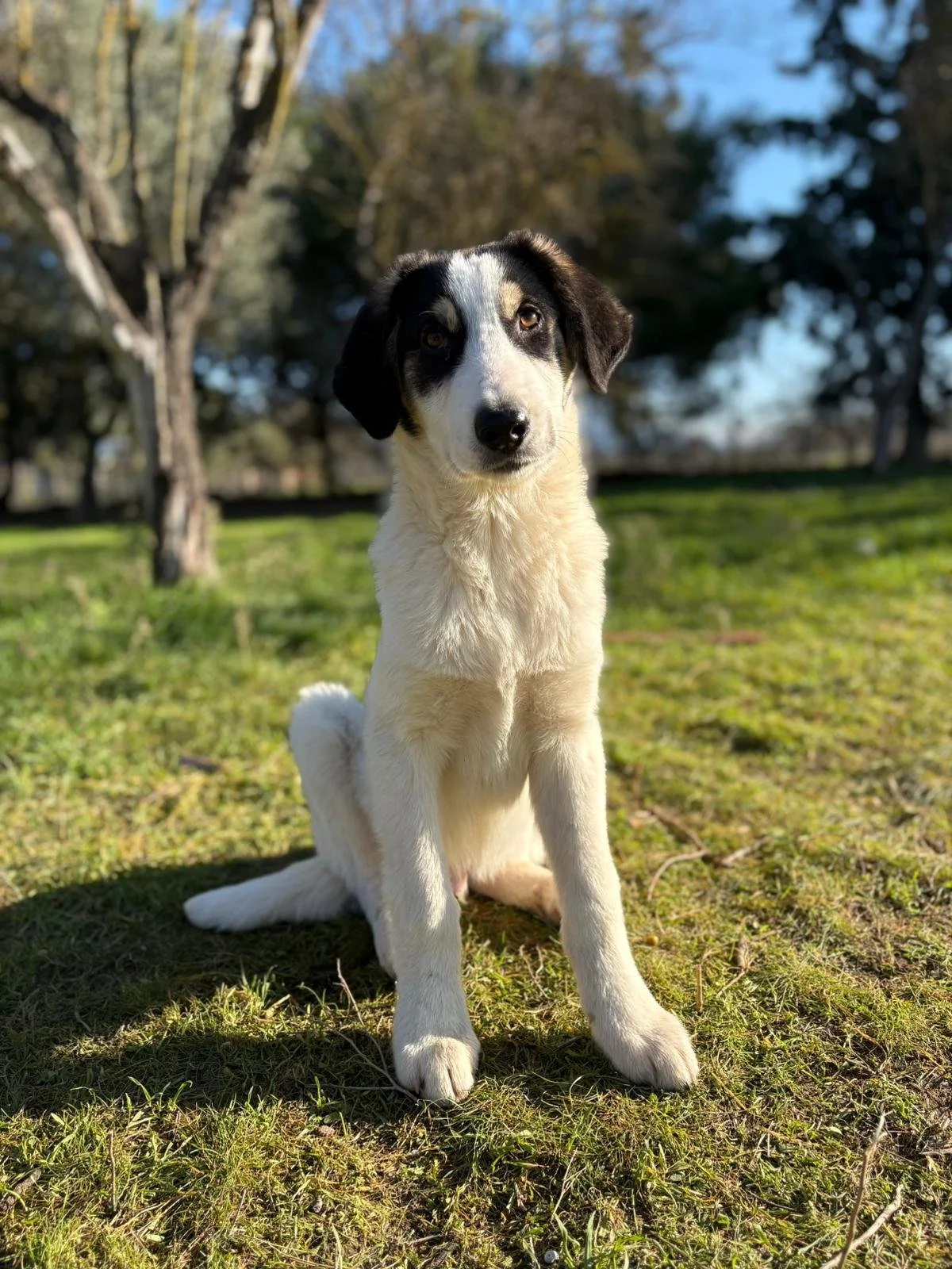 WhatsApp Image 2025-12-27 at 17.57.25.jpeg