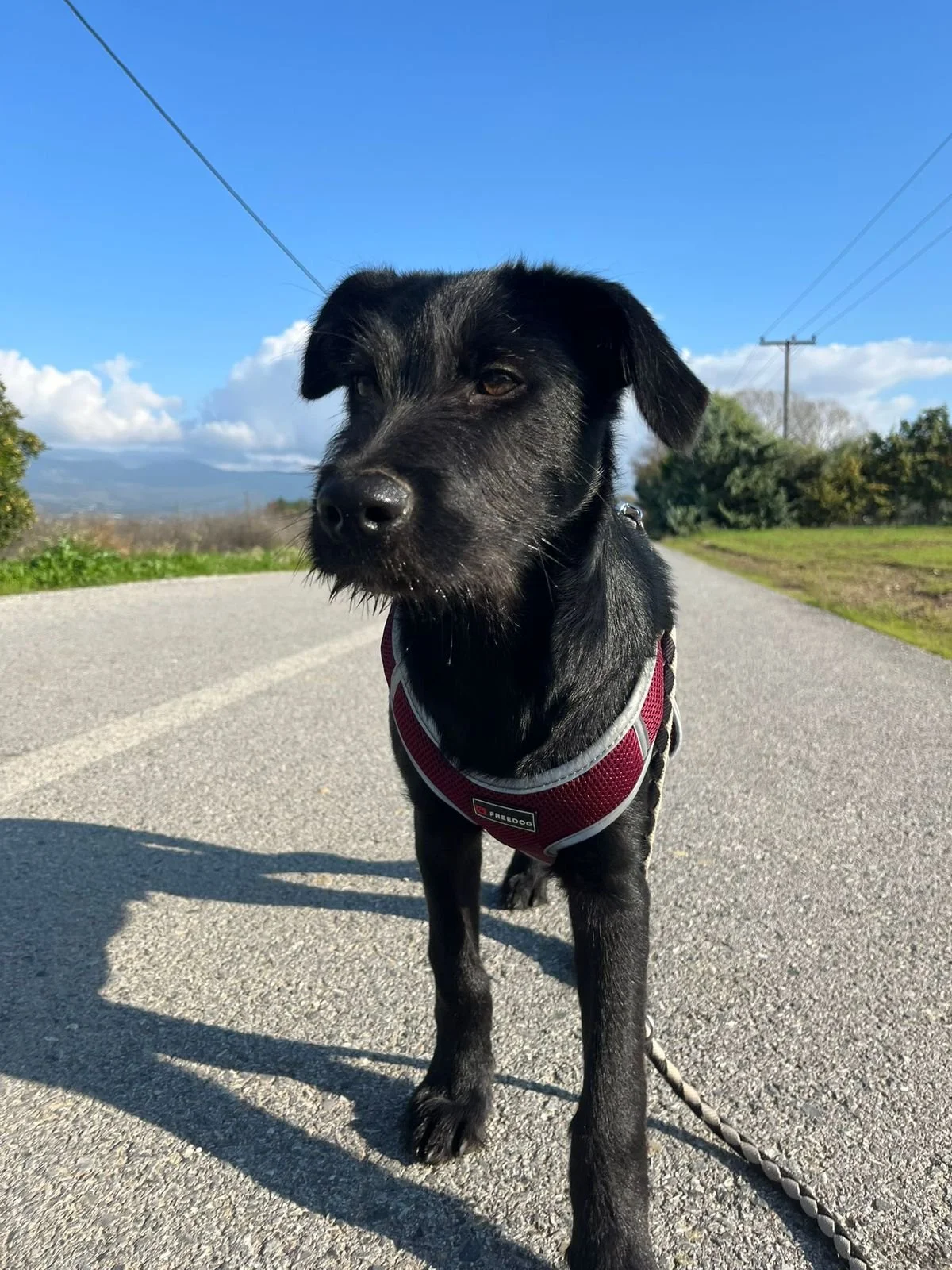 WhatsApp Bild 2025-12-09 um 13.37.26_766484a9.jpg