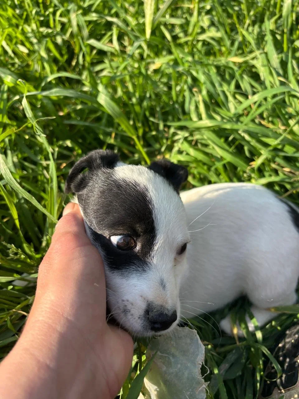 WhatsApp Image 2026-04-05 at 16.46.12 (5).jpeg