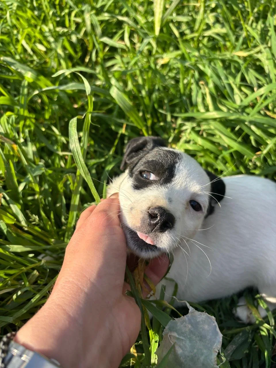 WhatsApp Image 2026-04-05 at 16.46.12 (6).jpeg