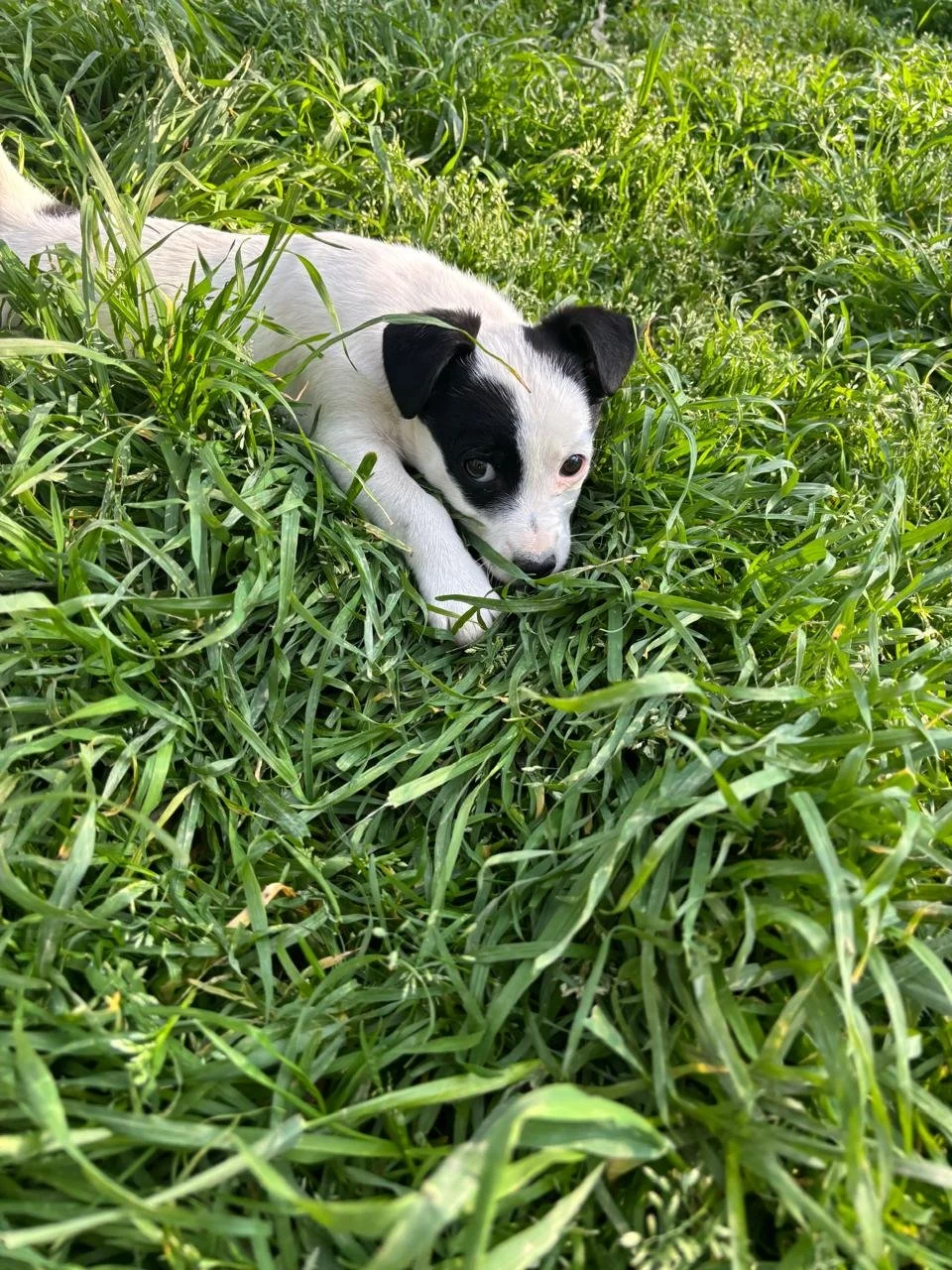 WhatsApp Image 2026-04-05 at 16.46.12.jpeg