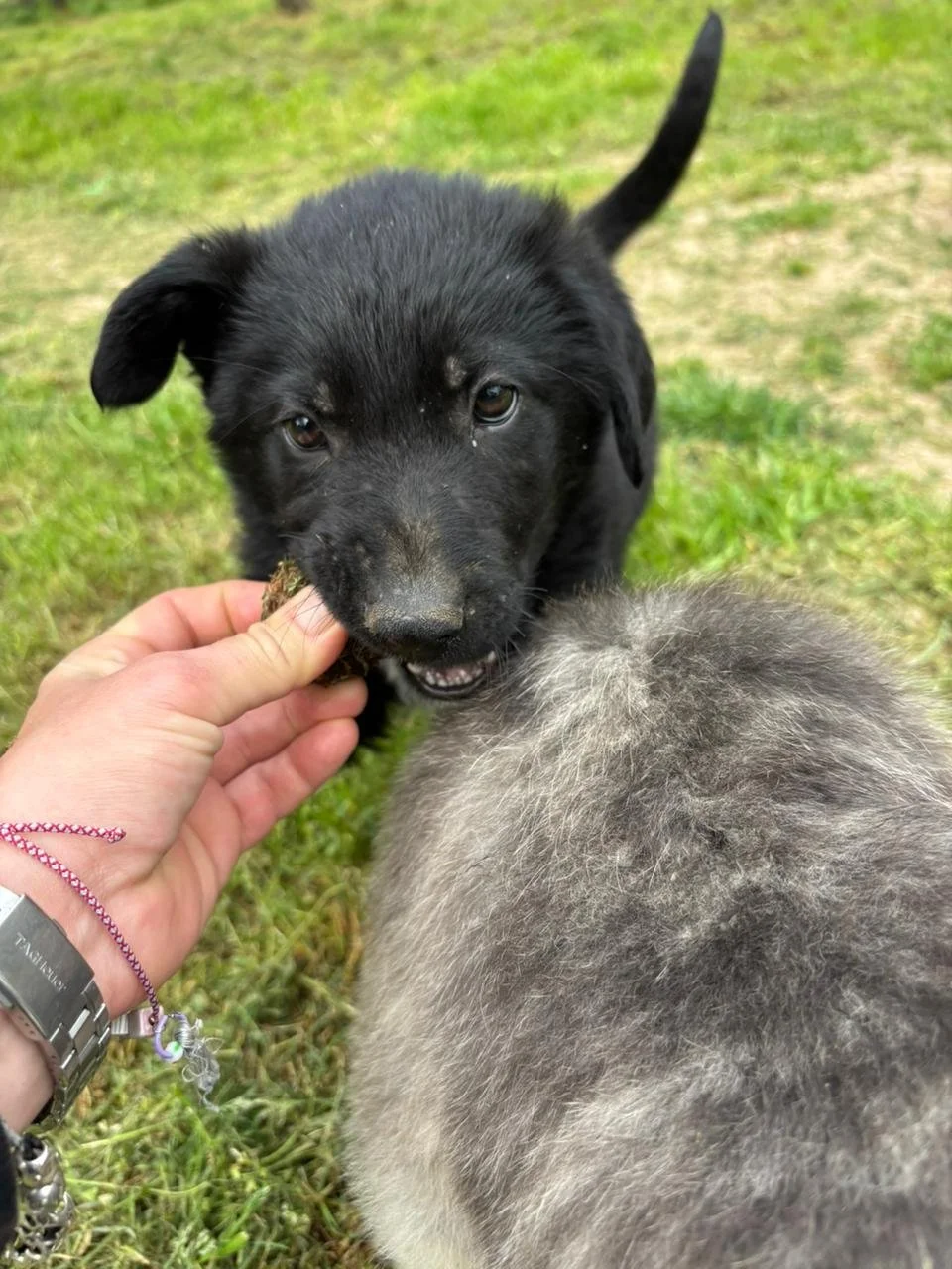 WhatsApp Image 2026-04-17 at 18.33.57 (2).jpeg