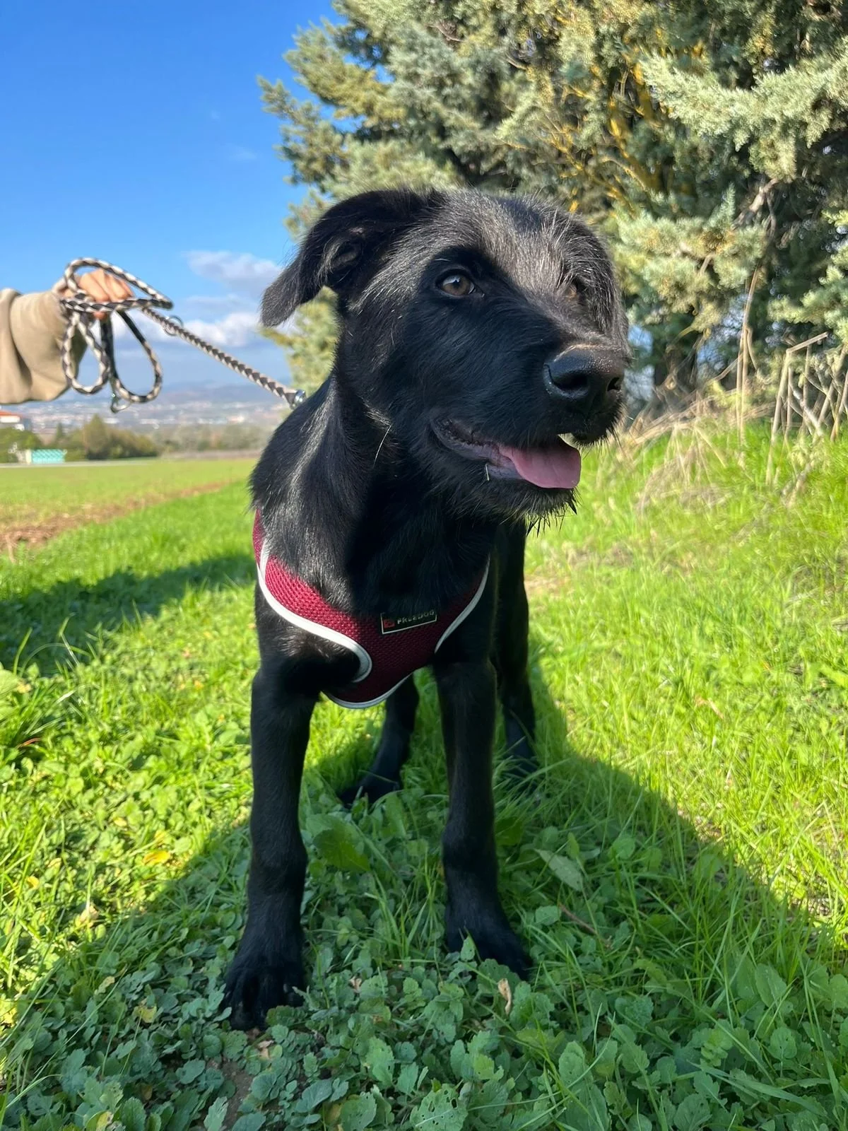 WhatsApp Bild 2025-12-09 um 13.37.38_6948c06a.jpg