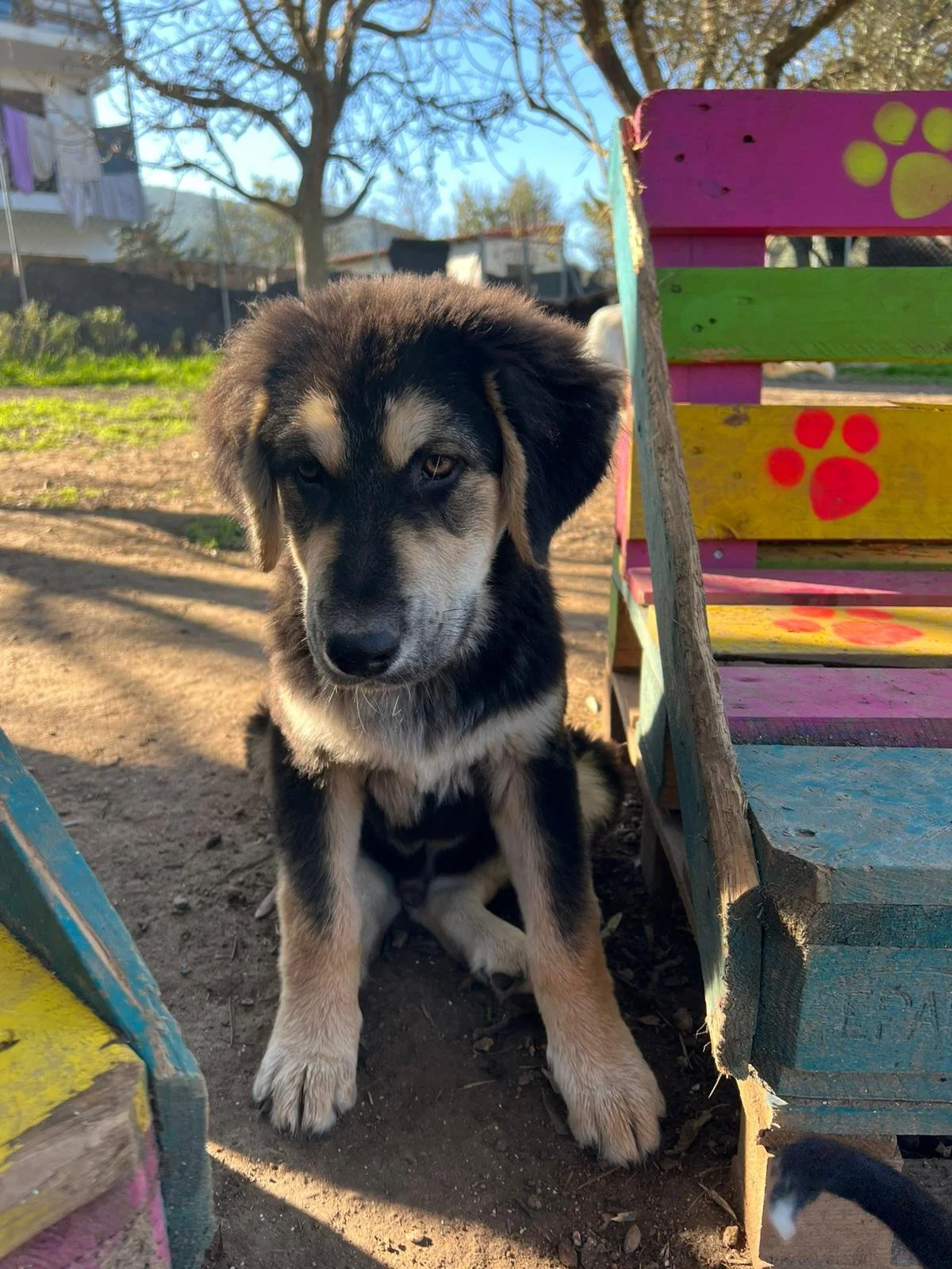 WhatsApp Bild 2025-12-01 um 10.25.55_e428de42.jpg