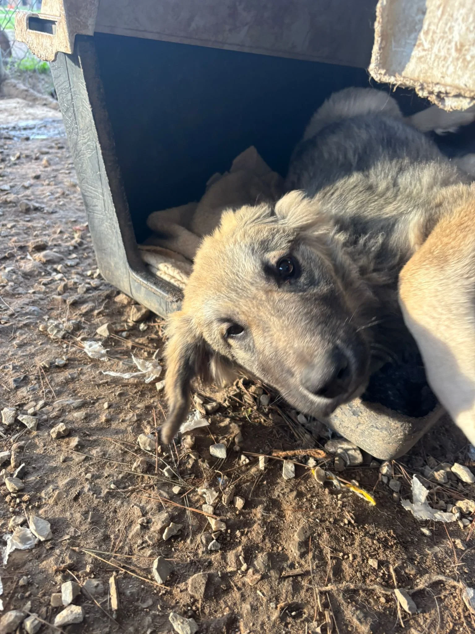 WhatsApp Image 2025-12-27 at 19.20.25.jpeg