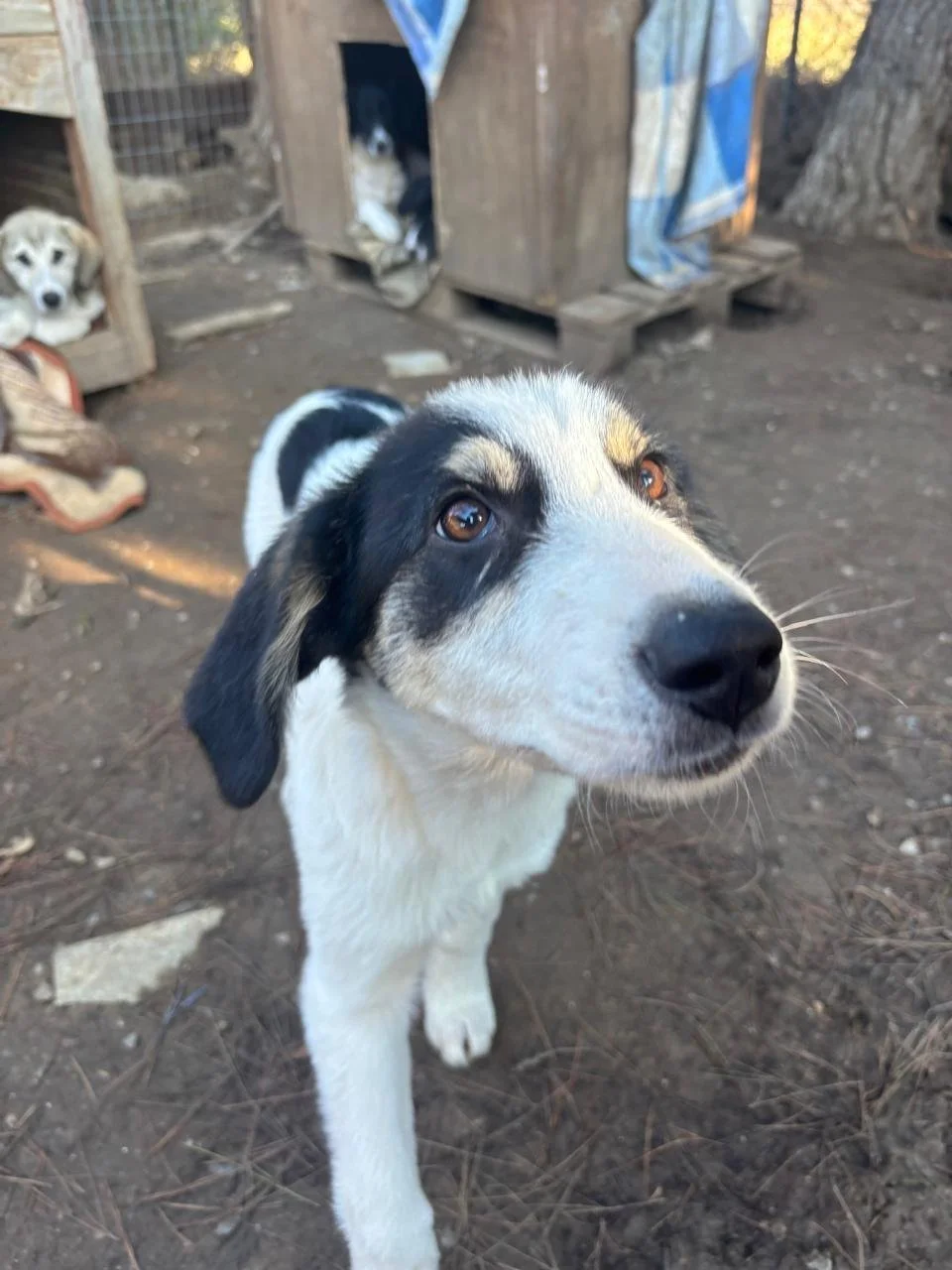 WhatsApp Bild 2025-12-09 um 13.41.53_c07a8a6c.jpg