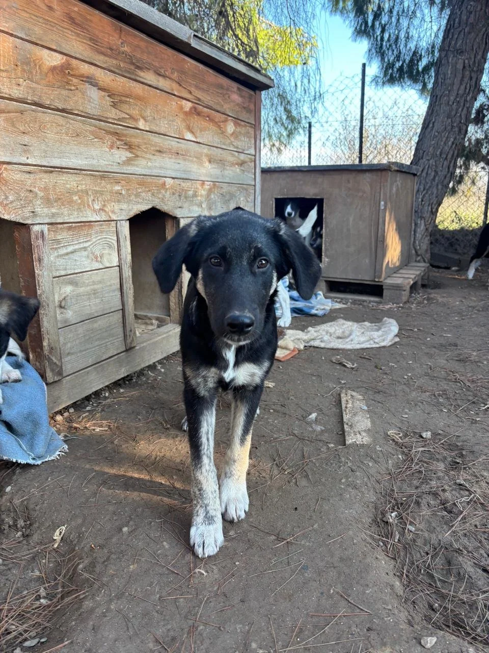 WhatsApp Bild 2025-12-09 um 13.38.15_46989fcd.jpg