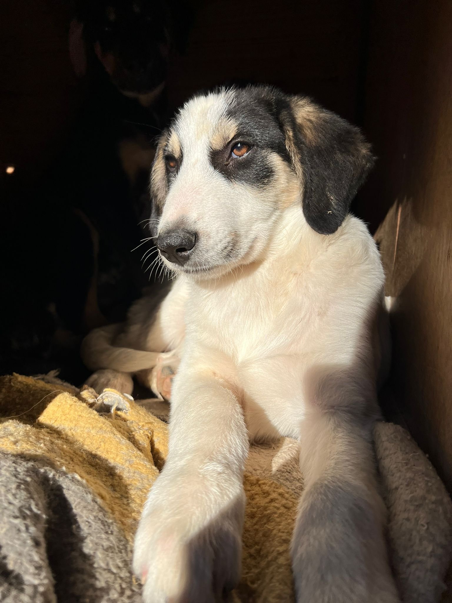 WhatsApp Bild 2025-11-30 um 12.48.41_df28552f.jpg