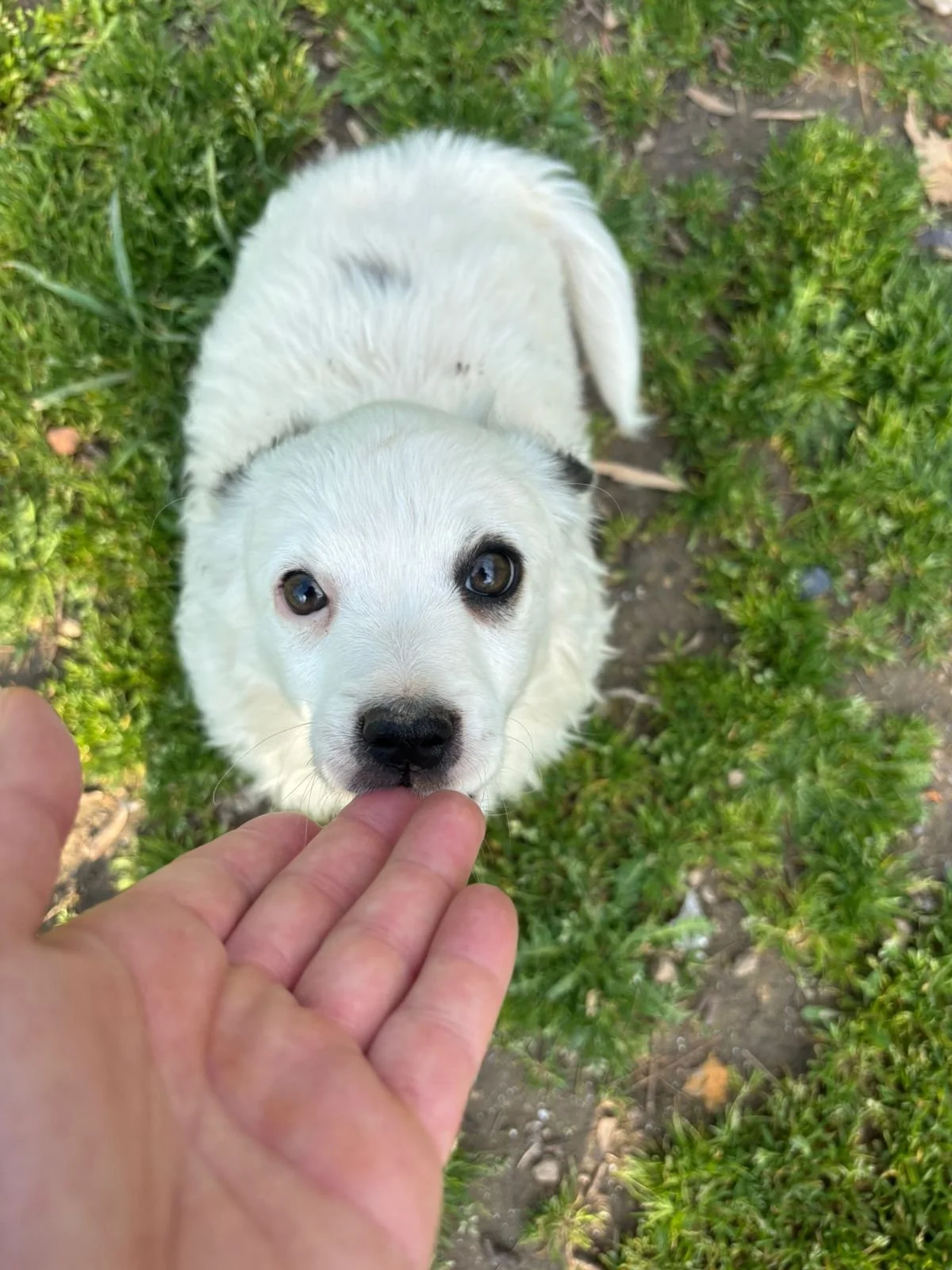 WhatsApp Image 2026-04-05 at 16.36.23.jpeg