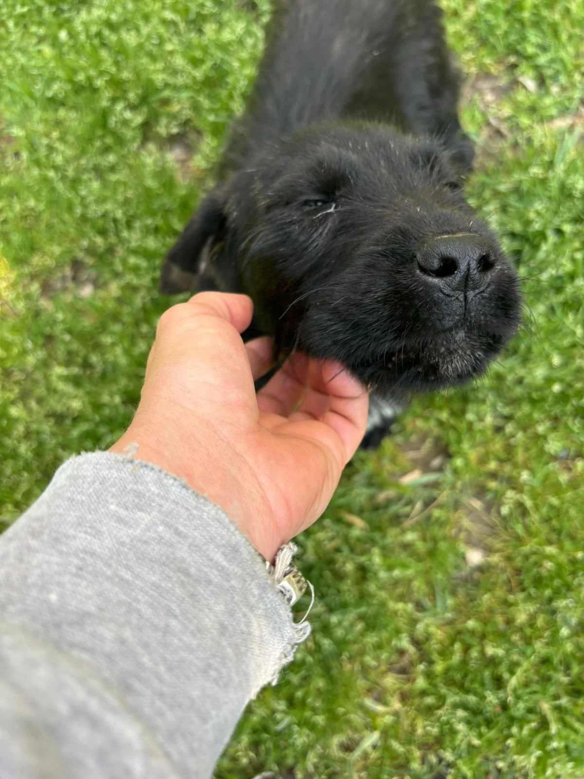 WhatsApp Image 2026-04-23 at 18.35.321.jpeg