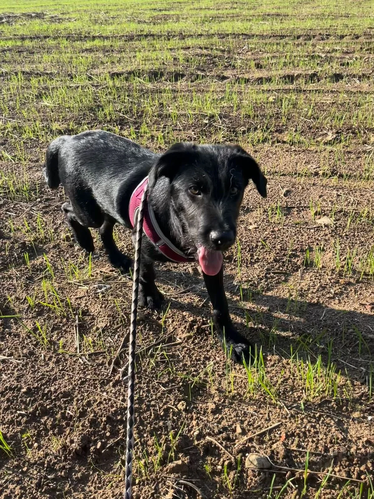 WhatsApp Bild 2025-12-09 um 13.37.24_e9568bd8.jpg