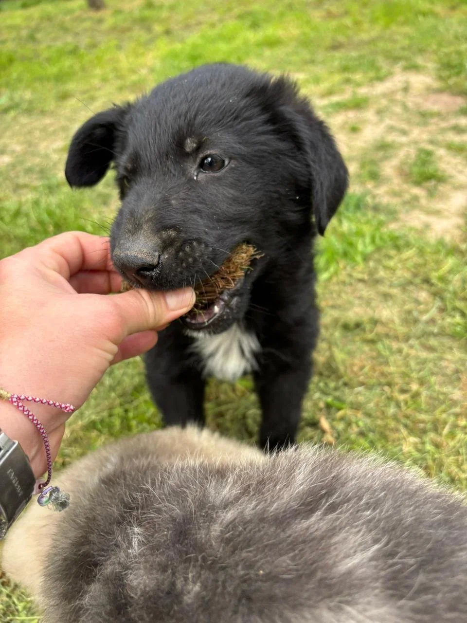 WhatsApp Image 2026-04-17 at 18.33.57 (1).jpeg