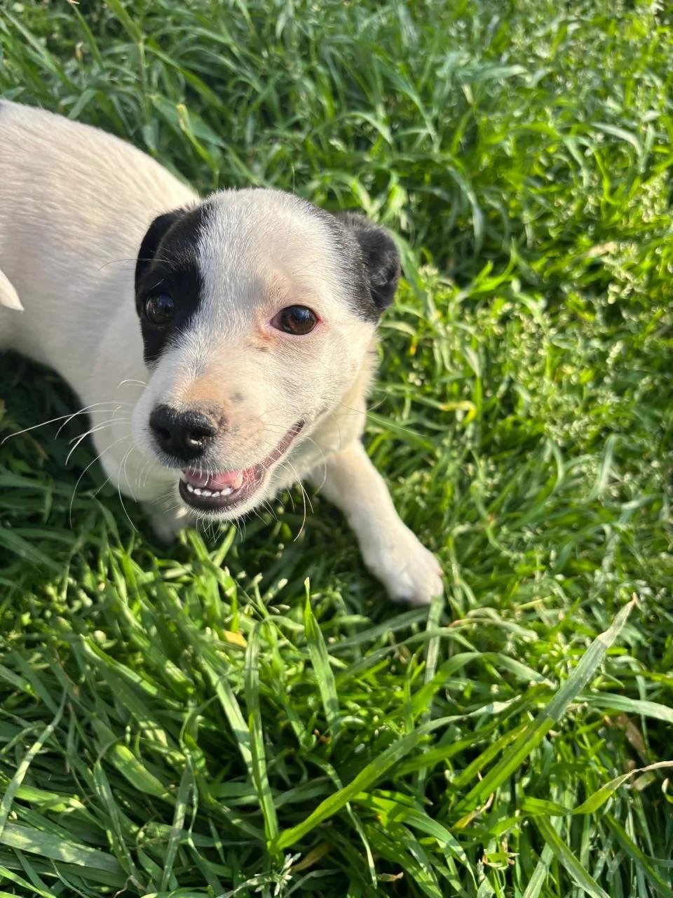 WhatsApp Image 2026-04-05 at 16.46.10 (4).jpeg