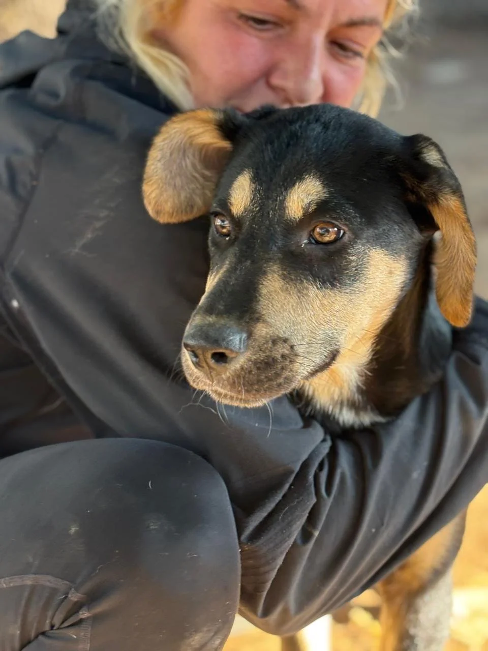 WhatsApp Bild 2025-12-12 um 17.21.09_d8482ee9.jpg