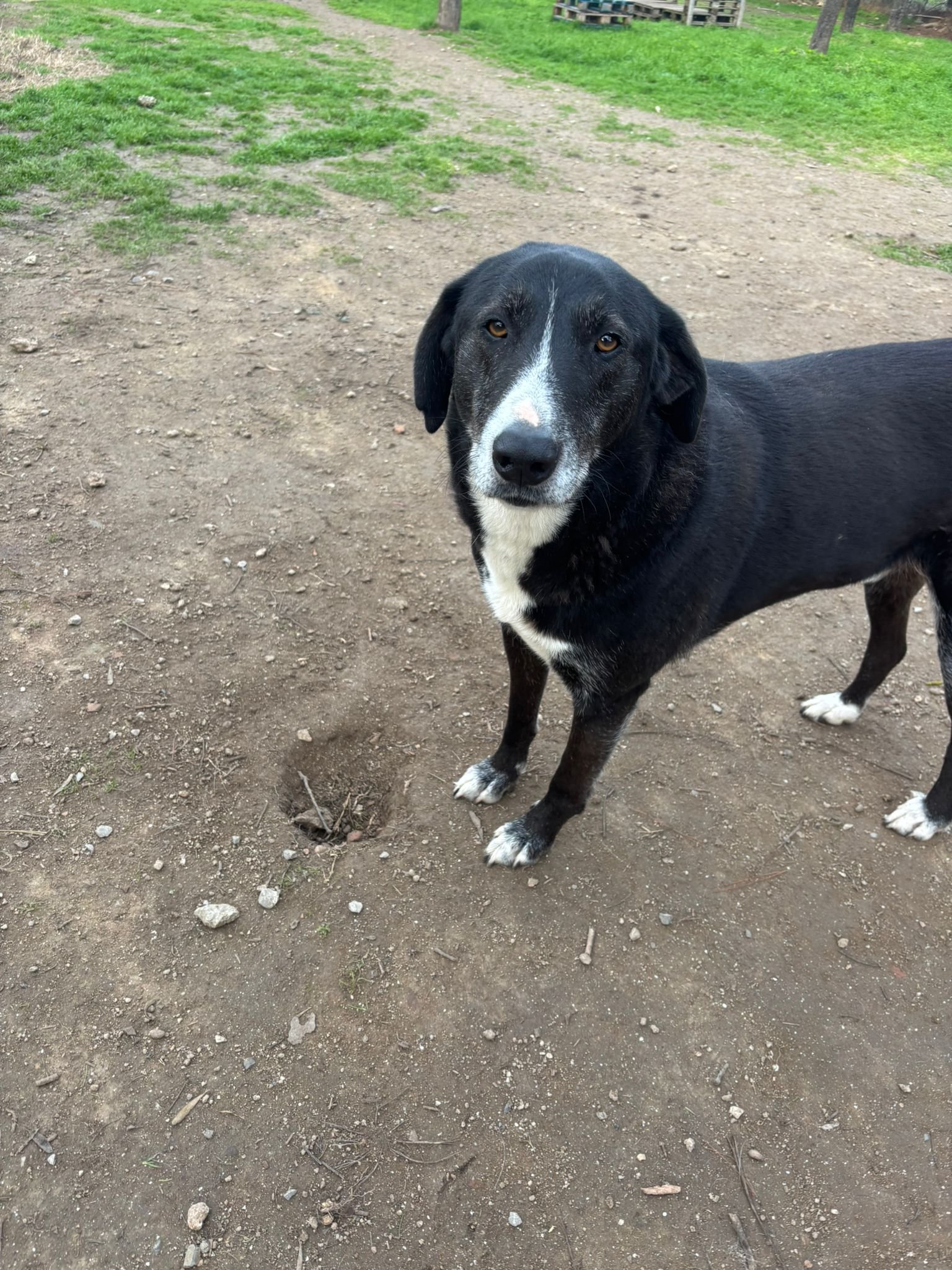 WhatsApp Image 2025-12-27 at 19.20.24.jpeg