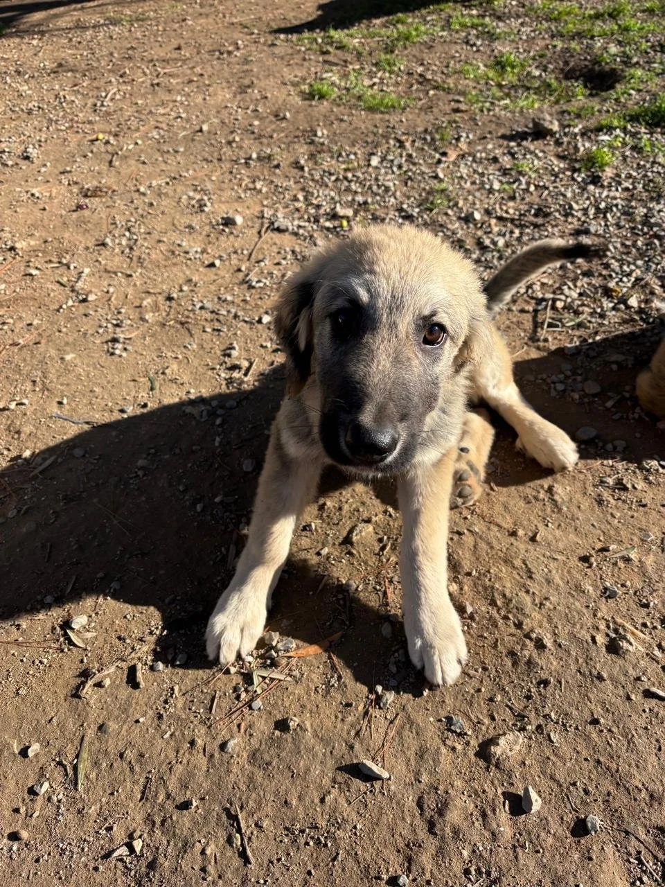 WhatsApp Bild 2025-12-09 um 13.43.58_bc24d6b0.jpg