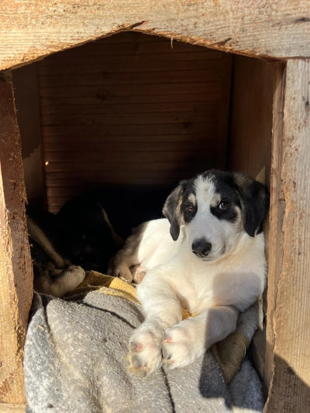 WhatsApp Bild 2025-11-30 um 12.54.37_6af80ddf.jpg