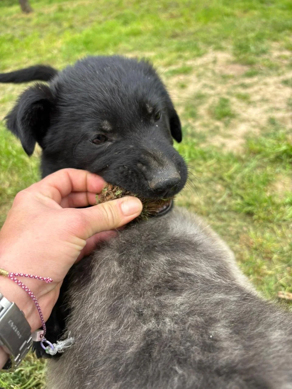 WhatsApp Image 2026-04-17 at 18.33.58.jpeg