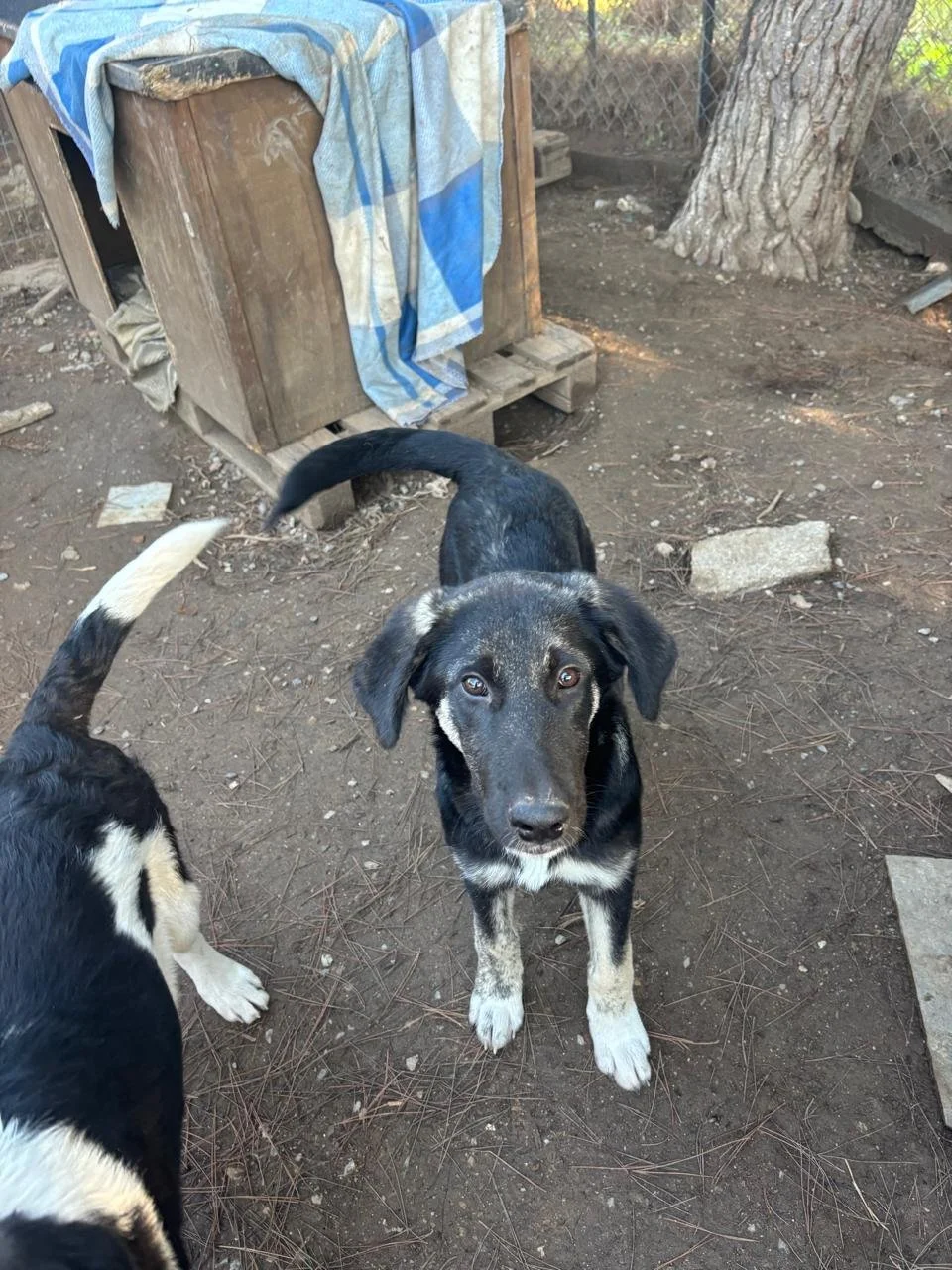 WhatsApp Bild 2025-12-09 um 13.38.15_83e6af78.jpg