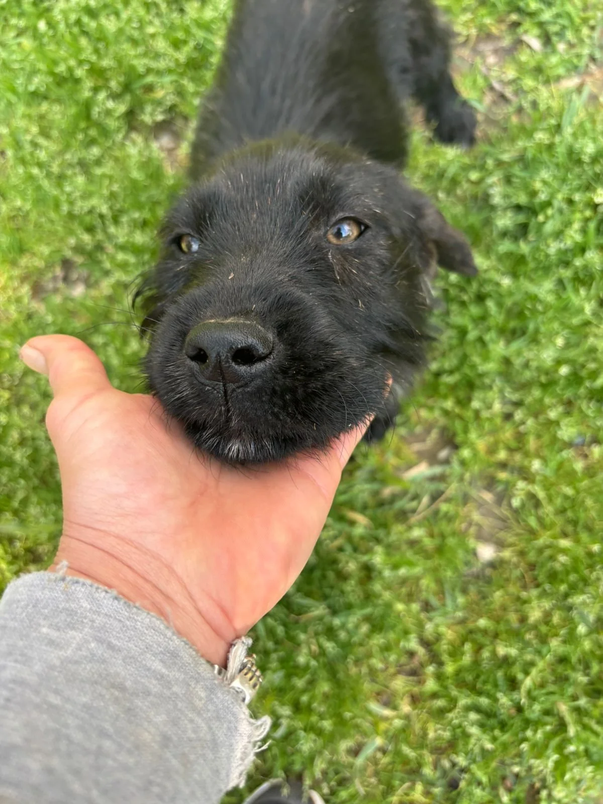 WhatsApp Image 2026-04-23 at 18.35.32.jpeg