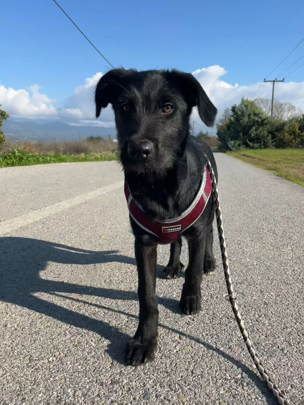 WhatsApp Bild 2025-12-09 um 13.37.30_ab1f32f1.jpg