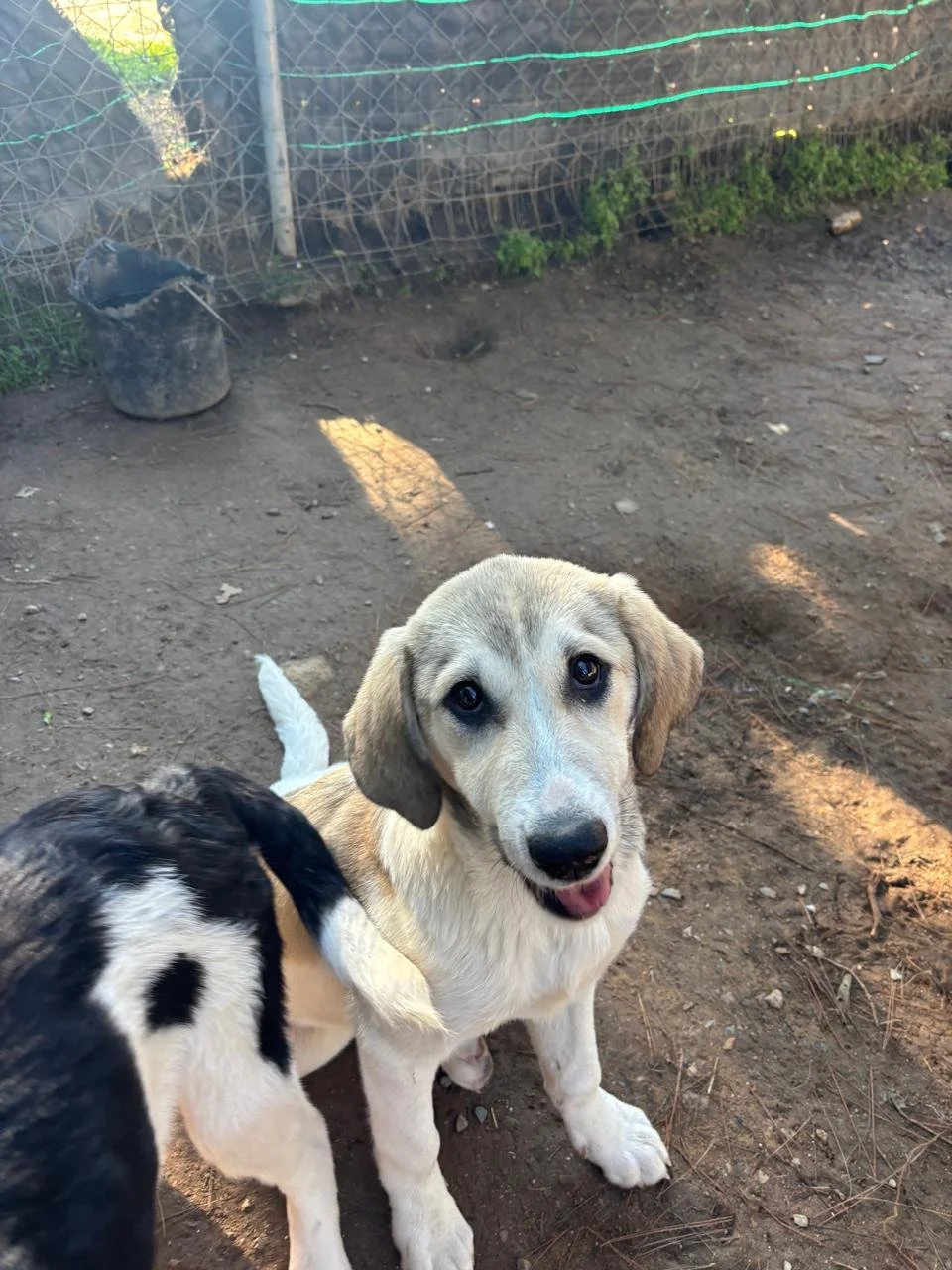 WhatsApp Bild 2025-12-09 um 13.39.56_52db4fa4.jpg