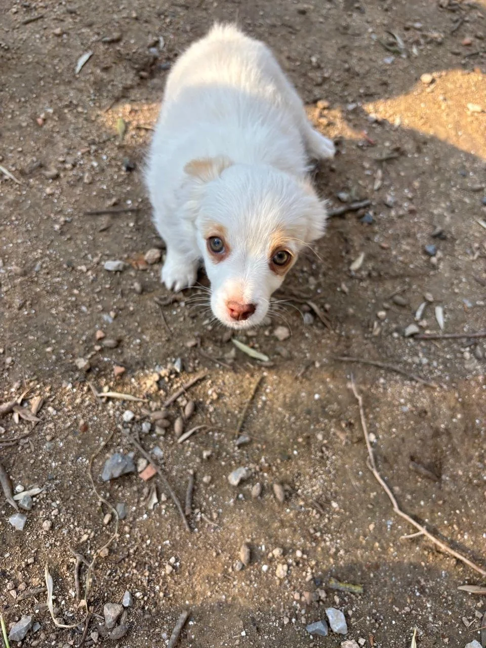 WhatsApp Image 2026-04-05 at 16.41.29 (4).jpeg