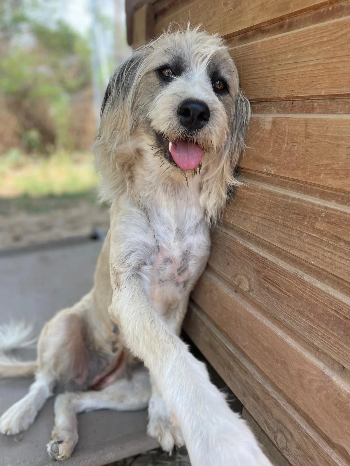 bella12.jpeg