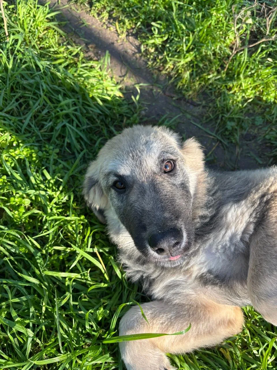 WhatsApp Bild 2025-12-12 um 17.23.10_2b01afee.jpg