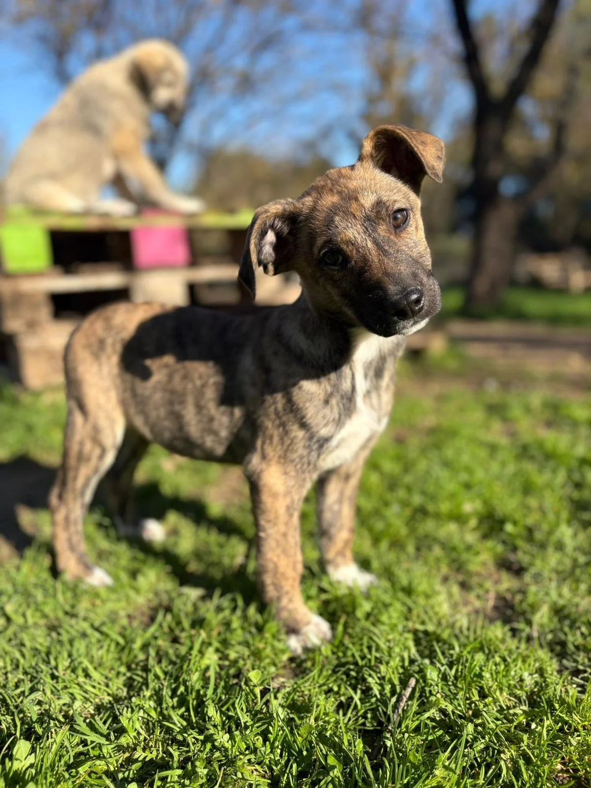 WhatsApp Image 2025-12-27 at 17.57.28.jpeg