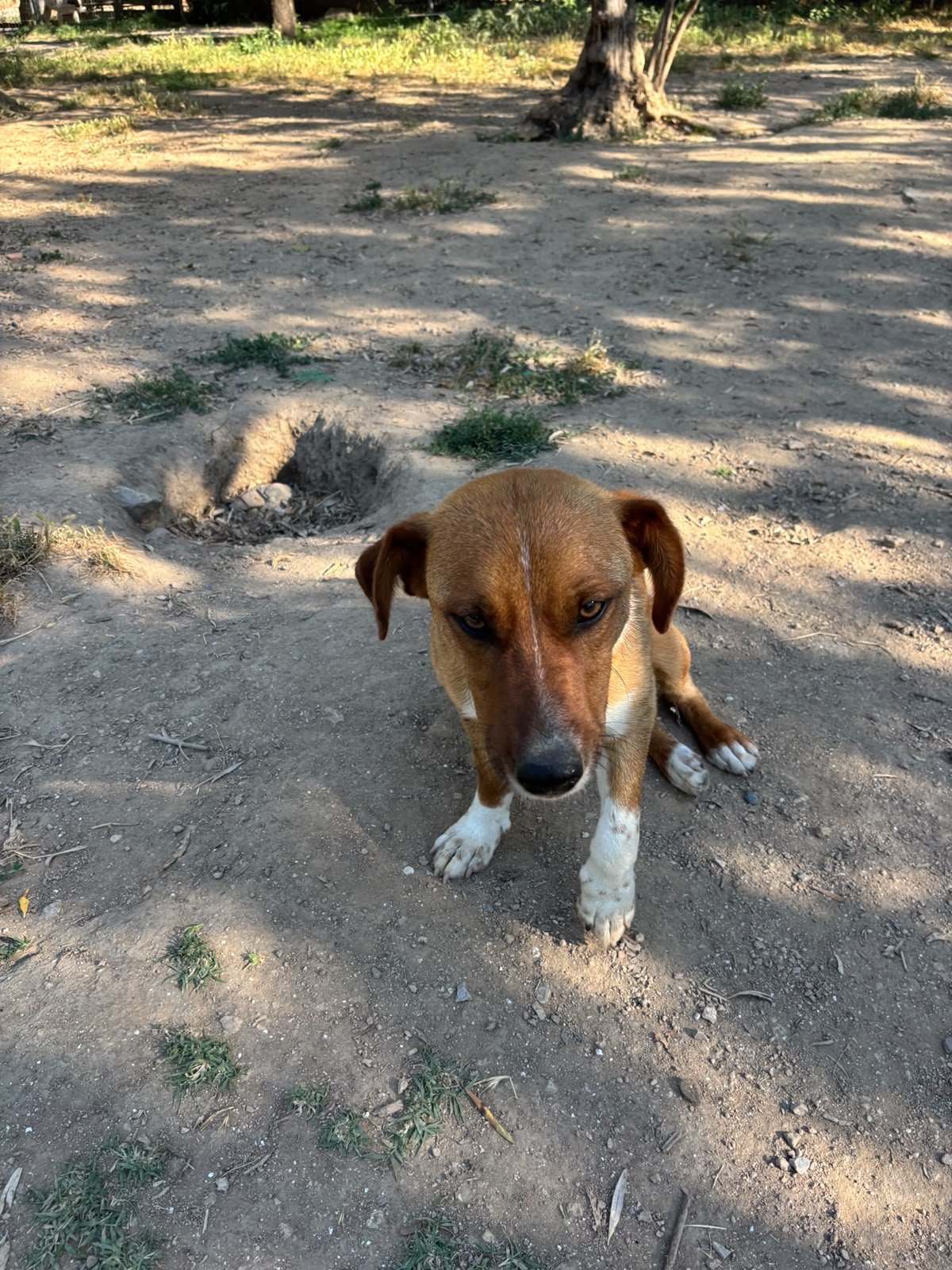 WhatsApp Image 2026-06-15 at 10.23.51.jpeg