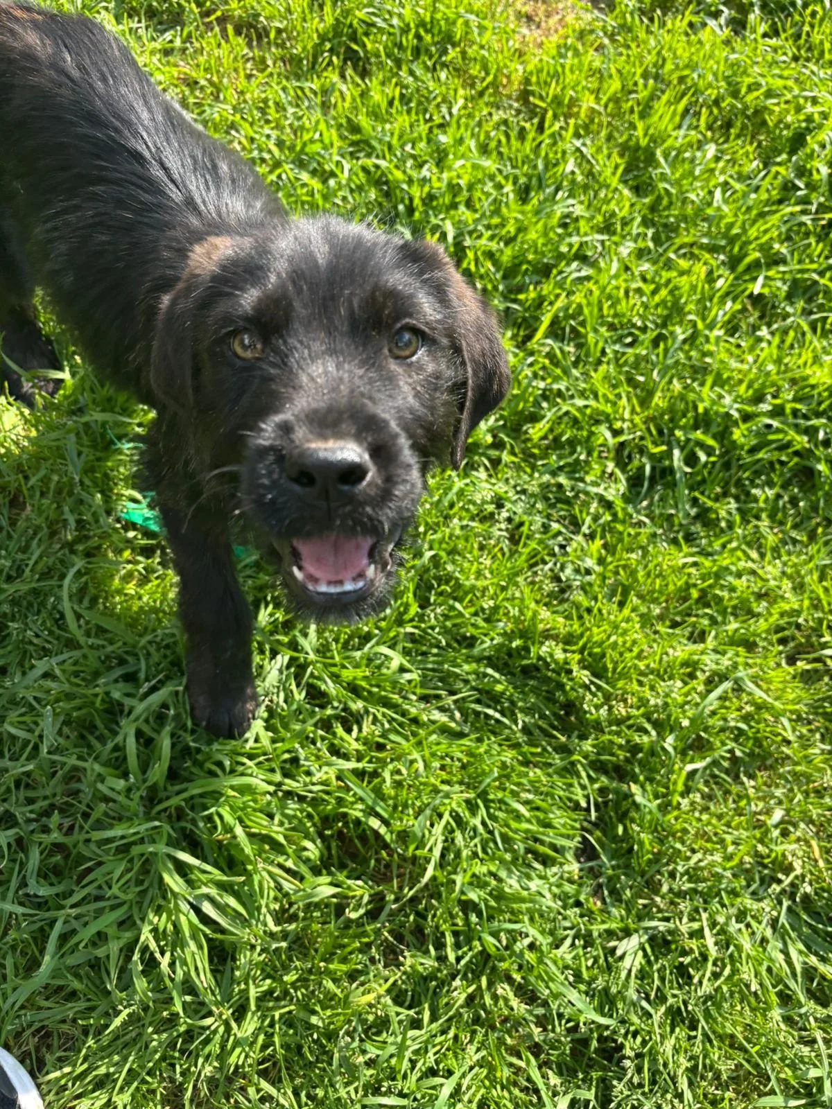 WhatsApp Image 2026-04-23 at 18.35.34.jpeg