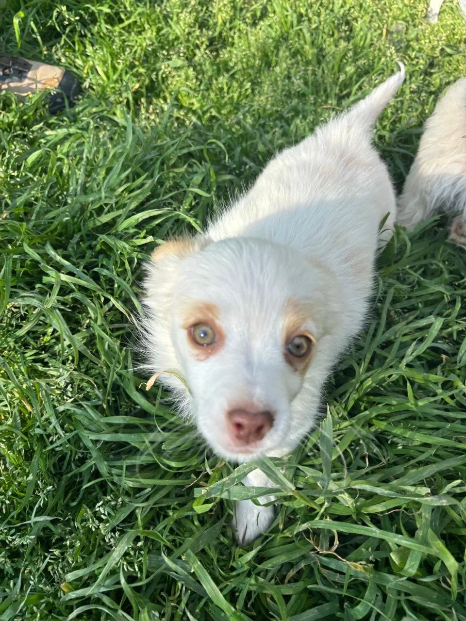 WhatsApp Image 2026-04-05 at 16.41.29 (6).jpeg