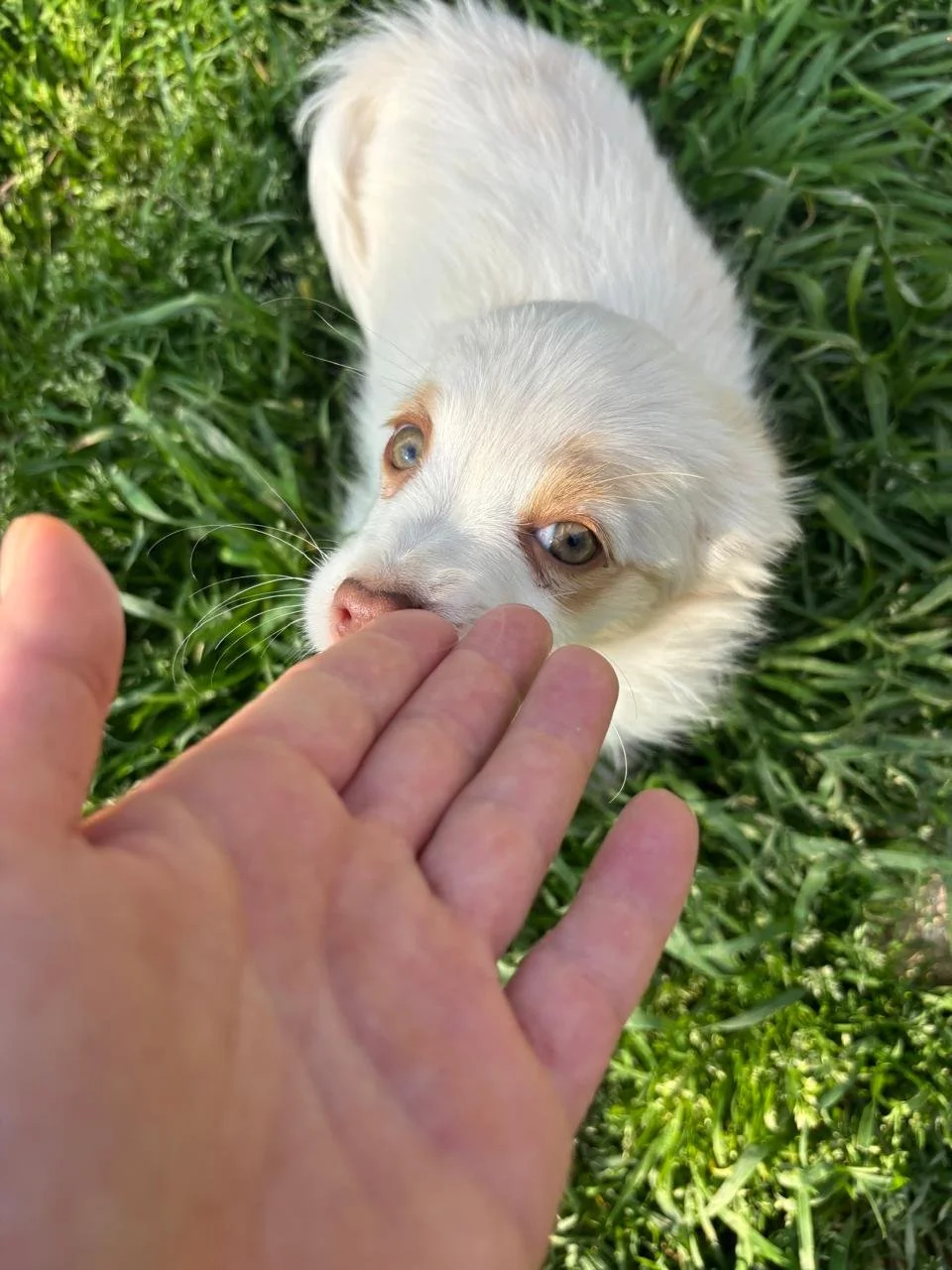 WhatsApp Image 2026-04-05 at 16.41.30.jpeg