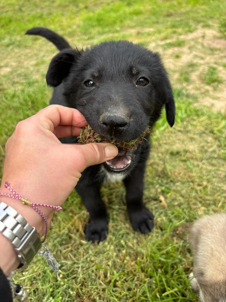 WhatsApp Image 2026-04-17 at 18.33.57.jpeg