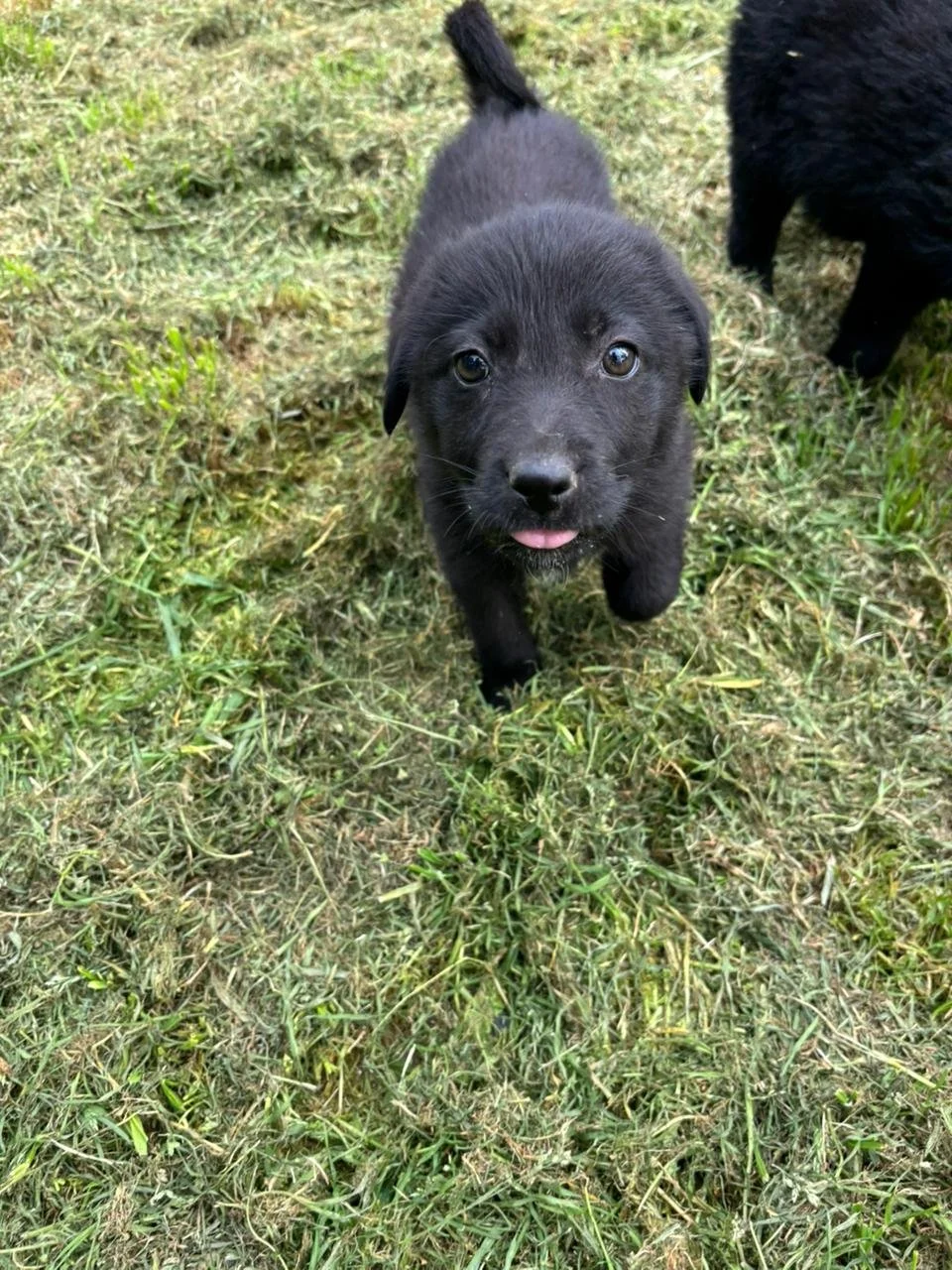 WhatsApp Image 2026-04-16 at 20.30.07 (2).jpeg