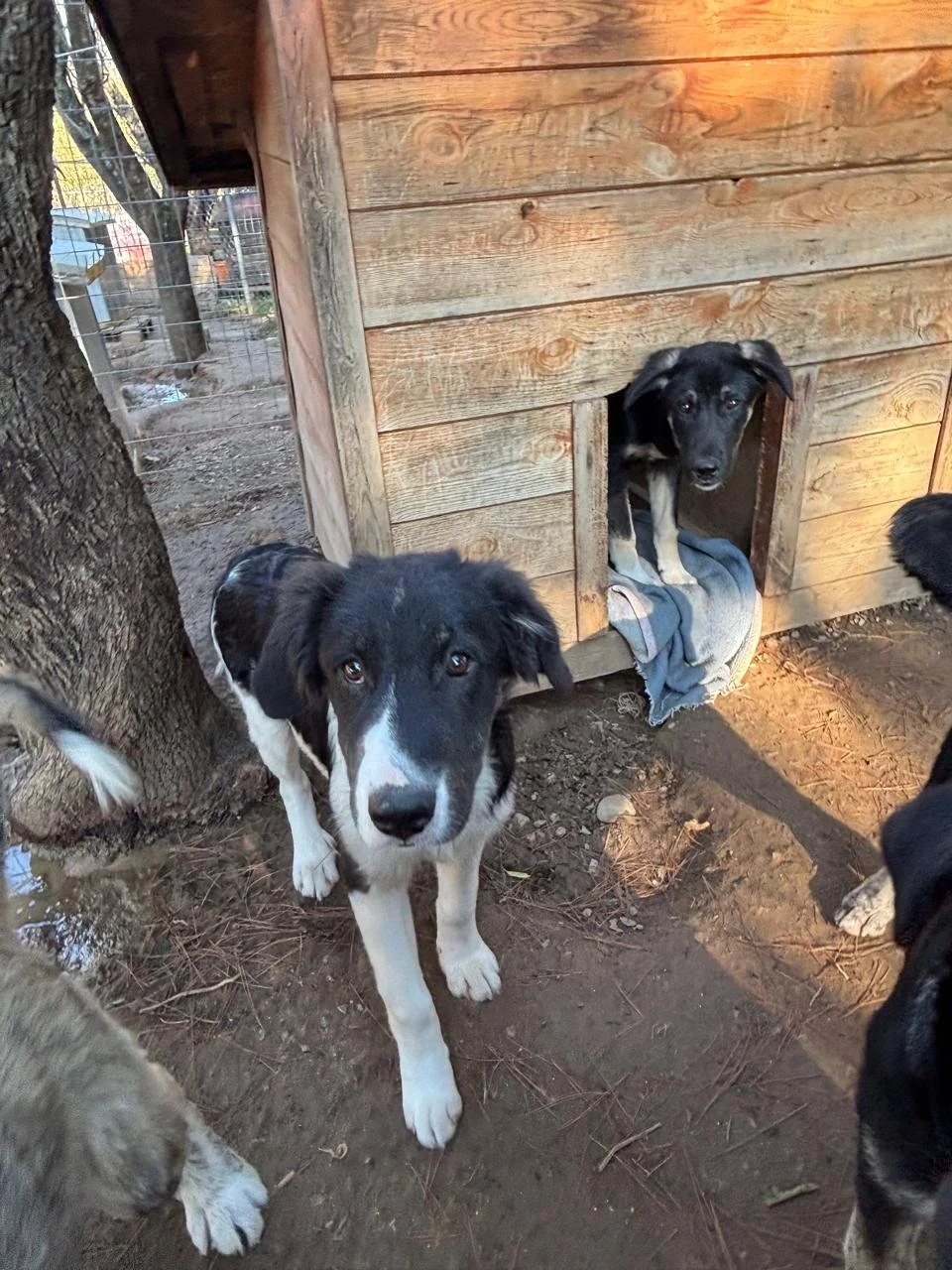 WhatsApp Bild 2025-12-09 um 13.41.28_45c37d28.jpg