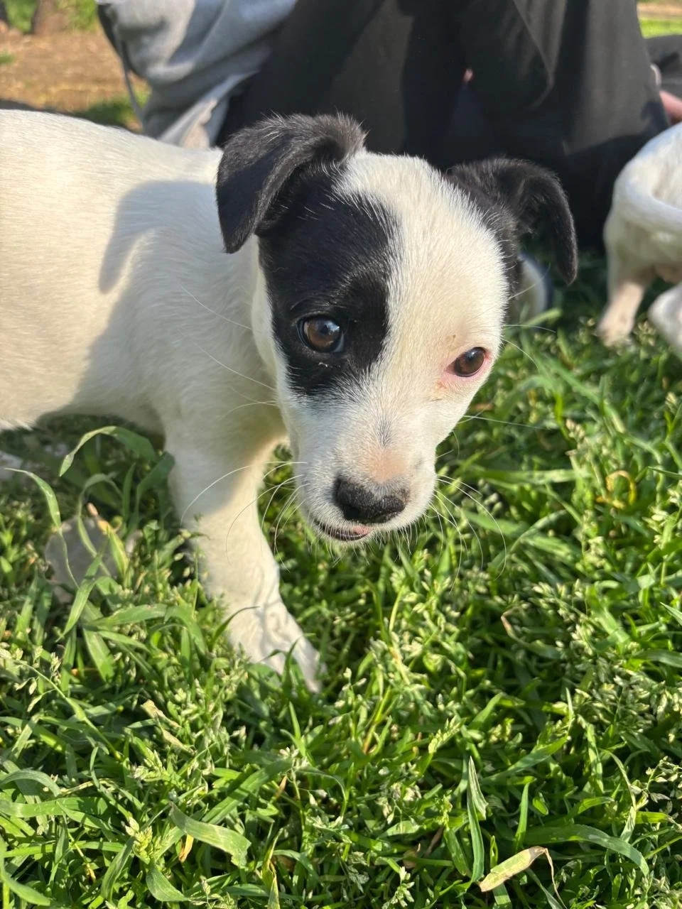 WhatsApp Image 2026-04-05 at 16.46.12 (2).jpeg