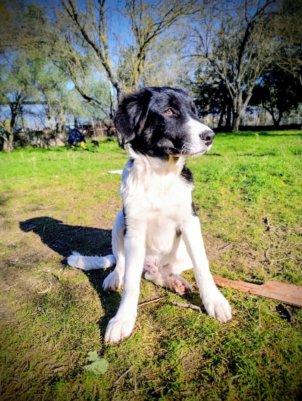 WhatsApp Image 2025-12-27 at 17.57.35.jpeg