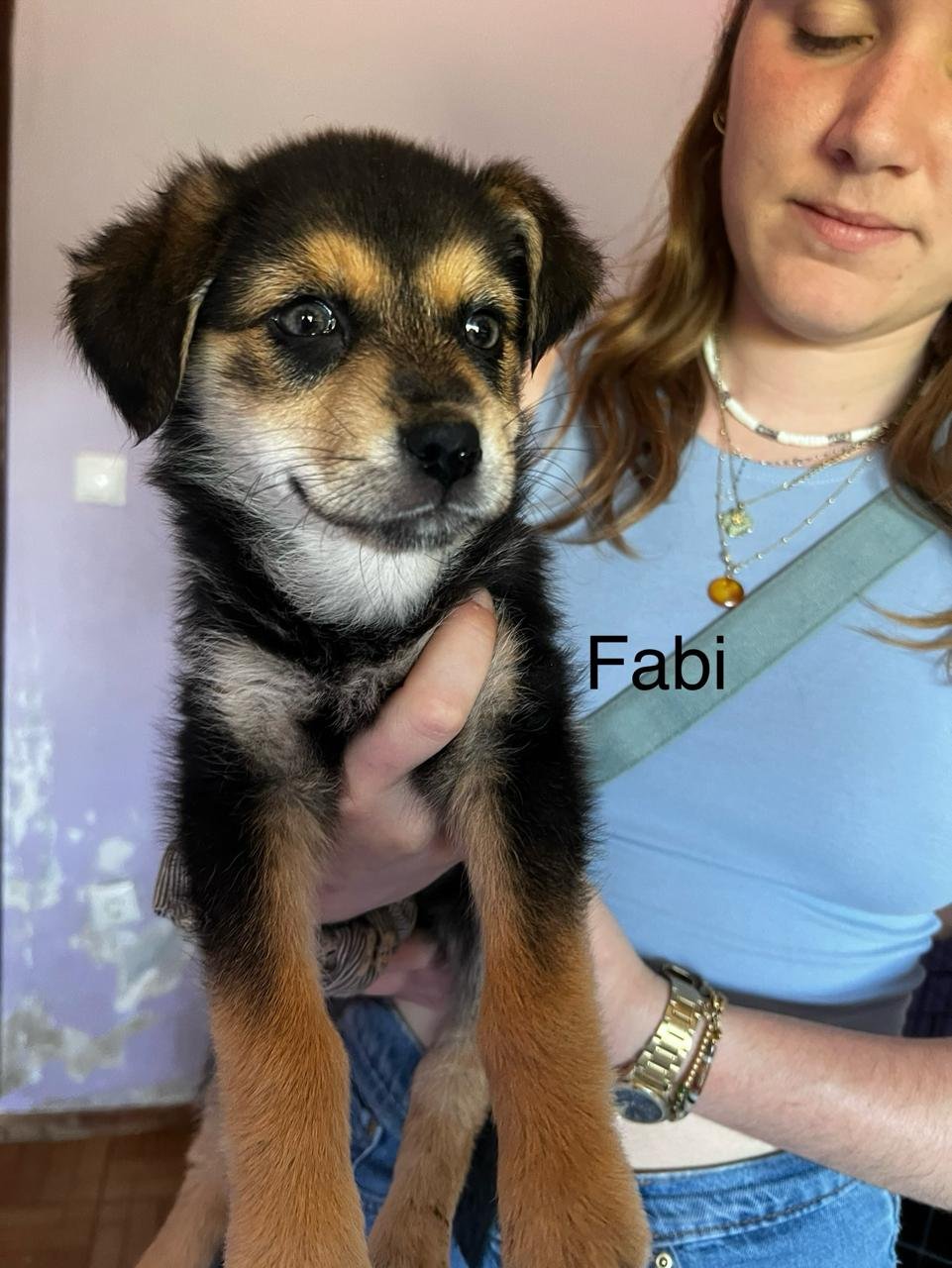Fabi5.jpeg