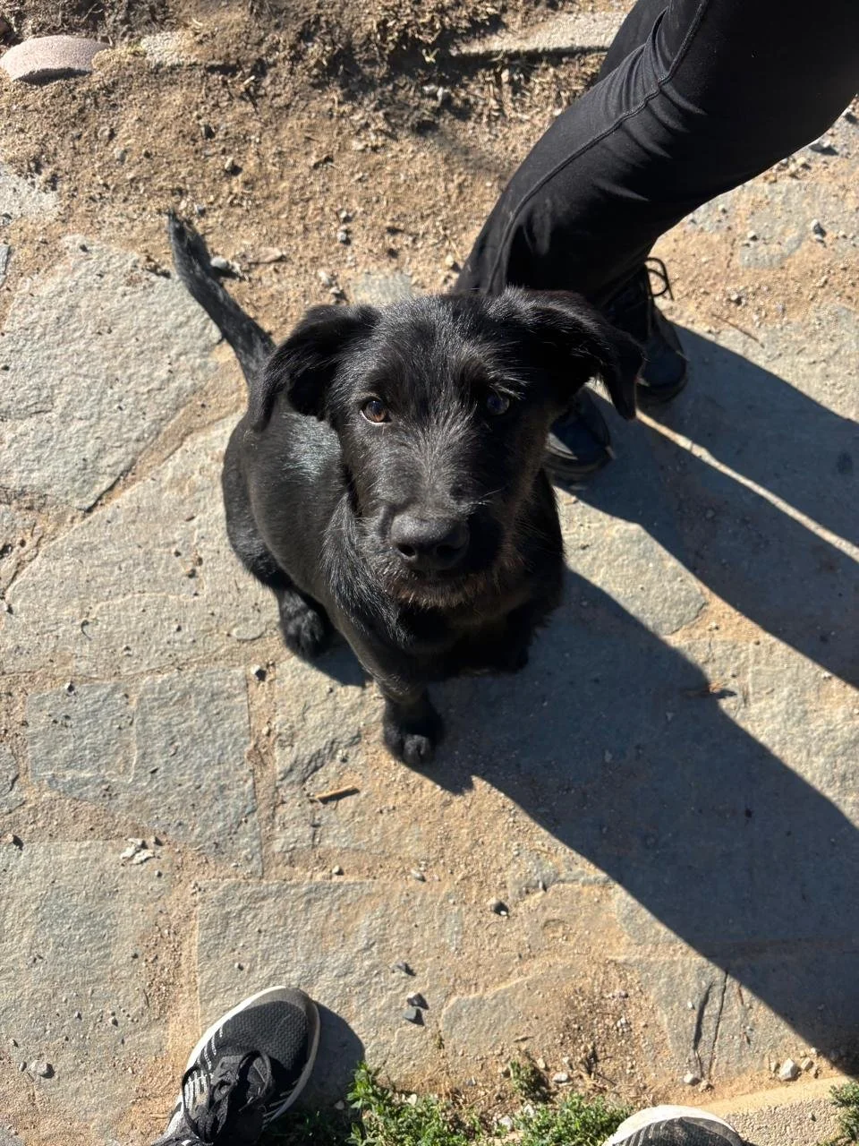 WhatsApp Bild 2025-11-30 um 13.46.26_c7cc59f7.jpg