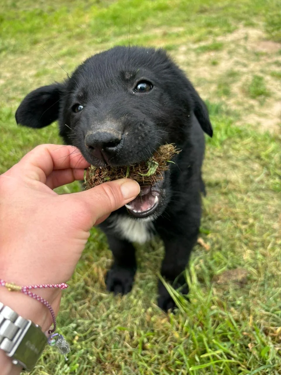 WhatsApp Image 2026-04-17 at 18.33.59 (1).jpeg