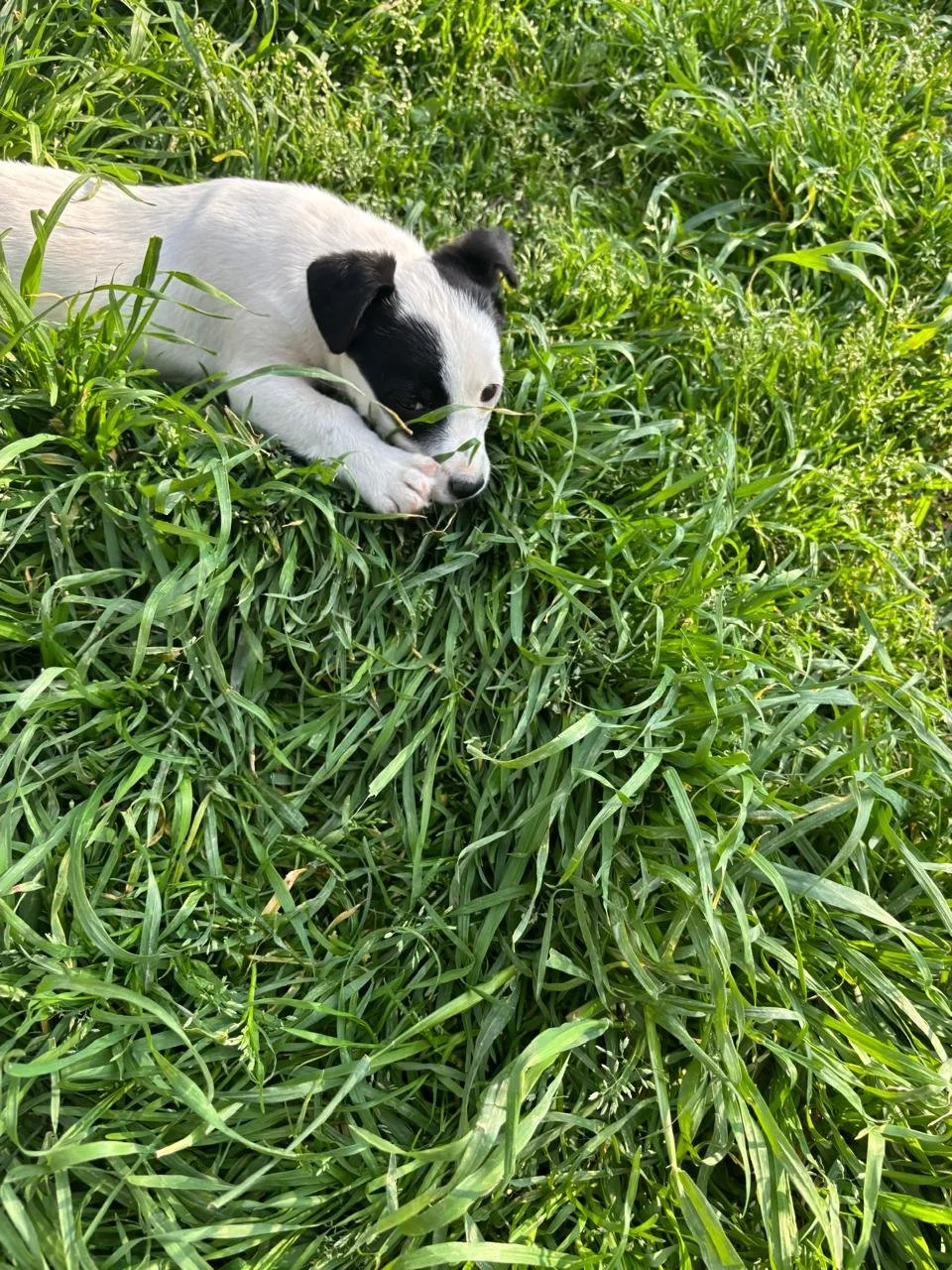 WhatsApp Image 2026-04-05 at 16.46.11.jpeg