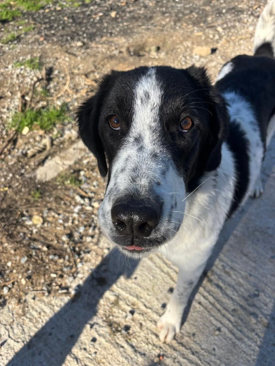 WhatsApp Image 2026-01-02 at 19.57.32.jpeg