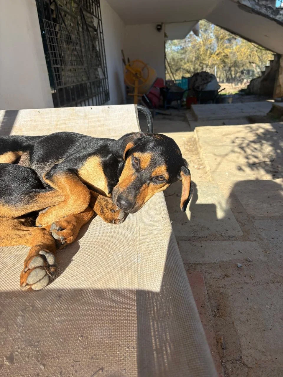 WhatsApp Bild 2025-11-30 um 13.46.30_921f7f41.jpg